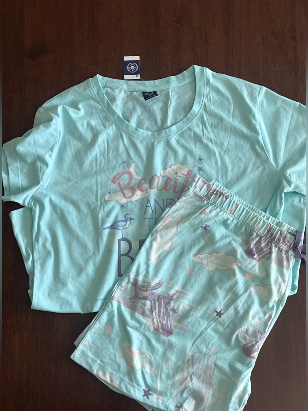 Womens Light Aqua Graphic Sleep Top and Shorts PJ Set